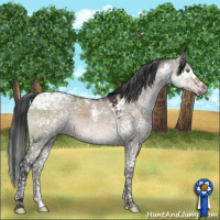 Horse Color:Brown Dun Mushroom Splash Tobiano 