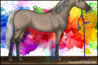 Horse Color:Silver Brown Dun