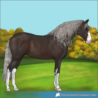 Horse Color:Silver Brown 