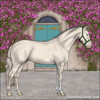Horse Color:Cremello Dun 