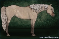 Horse Color:Silver Brown Dun 