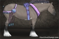 Horse Color:Grullo Roan Tobiano 