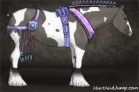 Horse Color:Grullo Tobiano 