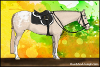 Horse Color:Perlino Appaloosa 