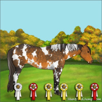 Horse Color:White Spotted Buckskin