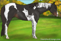 Horse Color:Liver Chestnut Tobiano 