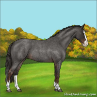 Horse Color:Liver Red Roan Splash 