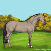 Horse Color:Liver Red Dun 