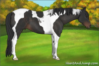 Horse Color:Liver Chestnut Tobiano 