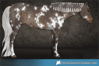 Horse Color:White Spotted Silver Brown Dun Sabino Rabicano 