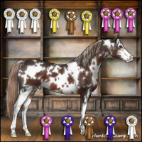 Horse Color:White Spotted Liver Chestnut Sabino