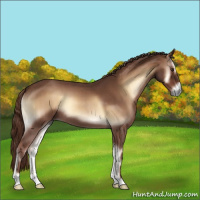 Horse Color:Red Onyx Roan 