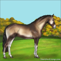 Horse Color:Liver Red Onyx 