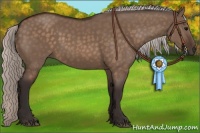 Horse Color:Silver Brown Dun 