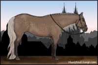 Horse Color:Silver Brown Dun