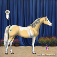 Horse Color:Palomino Splash Tobiano 