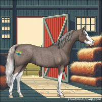 Horse Color:Silver Blue Roan Splash 