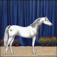 Horse Color:Silver Grullo Splash Tobiano Frame 