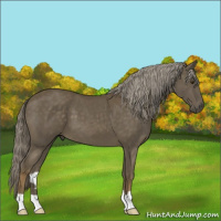 Horse Color:Chocolate Palomino Mushroom 