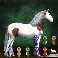 Horse Color:Bay Splash Tobiano 