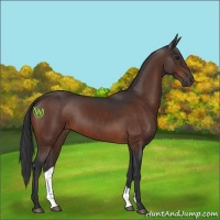 Horse Color:Brown 