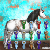 Horse Color:White Spotted Brown Splash
