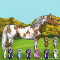 Horse Color:White Spotted Silver Buckskin 