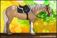 Horse Color:Silver Sable Cream Champagne Appaloosa