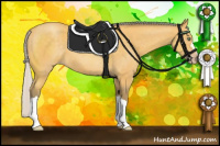 Horse Color:Silver Amber Cream Champagne 