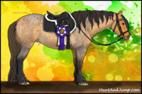 Horse Color:Buckskin Roan 