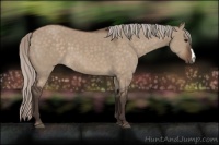 Horse Color:Silver Brown Dun 