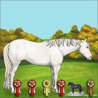 Horse Color:Perlino Appaloosa