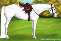 Horse Color:Cremello Roan 