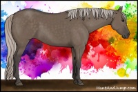 Horse Color:Silver Grullo 