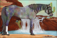 Horse Color:Nacre Black 