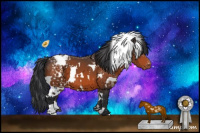 Horse Color:White Spotted Bay Appaloosa 