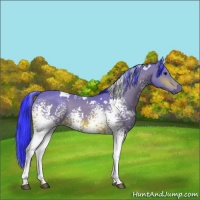Horse Color:Watercolor White Spotted Bay 