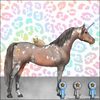 Horse Color:White Spotted Bay Varnish 
