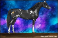 Horse Color:White Spotted Black