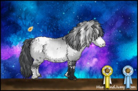 Horse Color:White Spotted Bay Chinchilla Appaloosa 