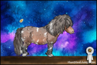 Horse Color:White Spotted Bay Appaloosa