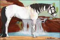 Horse Color:Bay Ice Onyx