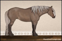 Horse Color:Silver Brown Dun 
