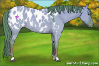 Horse Color:Watercolor Red Dun Blanket 