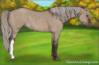 Horse Color:Silver Brown Dun