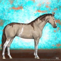Horse Color:White Spotted Liver Red Dun 