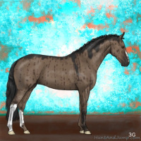 Horse Color:Liver Red Dun Brindle 