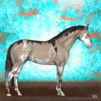 Horse Color:White Spotted Liver Red Dun Splash 