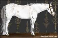 Horse Color:Bay Sabino Rabicano  and Bay Sabino Rabicano 