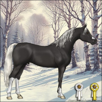 Horse Color:Liver Chestnut Mushroom 